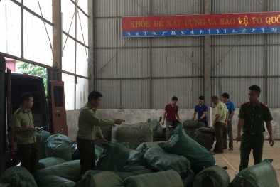 Tạm giữ lô vải, đồ dùng học sinh không có chứng từ chứng minh nguồn gốc